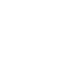 CCTV ICON
