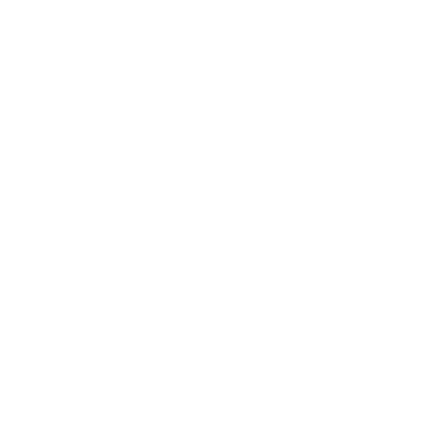CCTV ICON